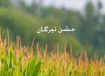 تیر روز و جشن تیرگان (96)