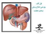 روز ملي اطلاع رساني هپاتيت (96)