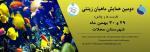 همایش ماهیان زینتی کشور استان مرکزی 96