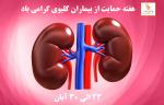 هفته حمايت از بيماران كليوي آبان 97