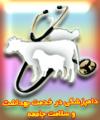 همایش ملی دامپزشکی در خدمت بهداشت و سلامت جامعه 