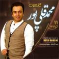 کنسرت محمد قلی پور(11دی)