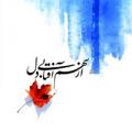 کنسرت نوید دهقان و فرهاد صفری