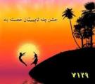 جشن چله تابستان (95)