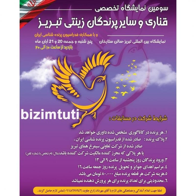 نمایشگاه تخصصی پرندگان زینتی و لوازم مصرفی تبریز 1404
